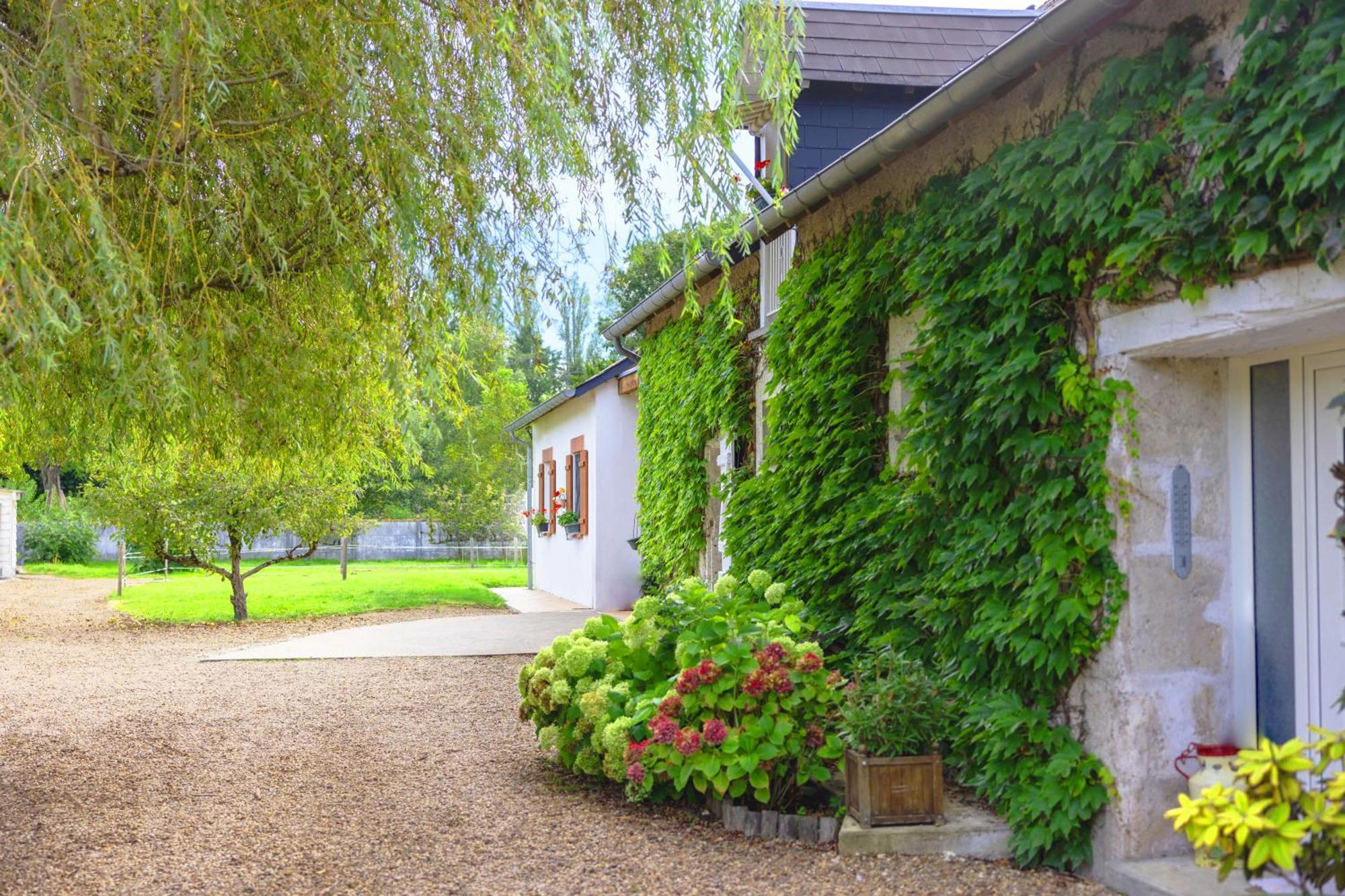 Bed and Breakfast Ferme De Marpalu La Ferté-Saint-Cyr Zewnętrze zdjęcie