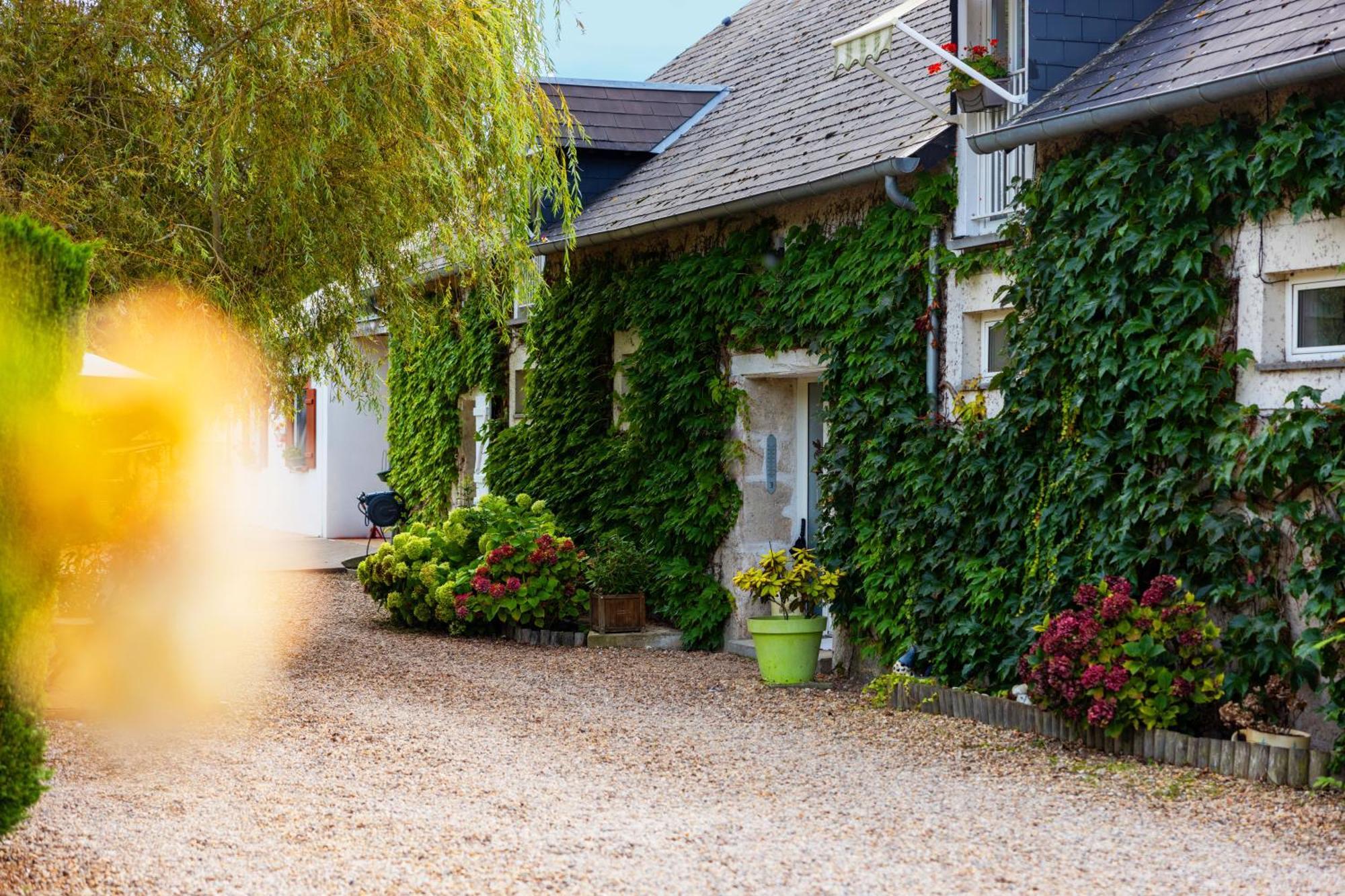 Bed and Breakfast Ferme De Marpalu La Ferté-Saint-Cyr Zewnętrze zdjęcie